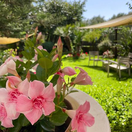 פאלינורו Hotel Residence Da Carmelo מראה חיצוני תמונה