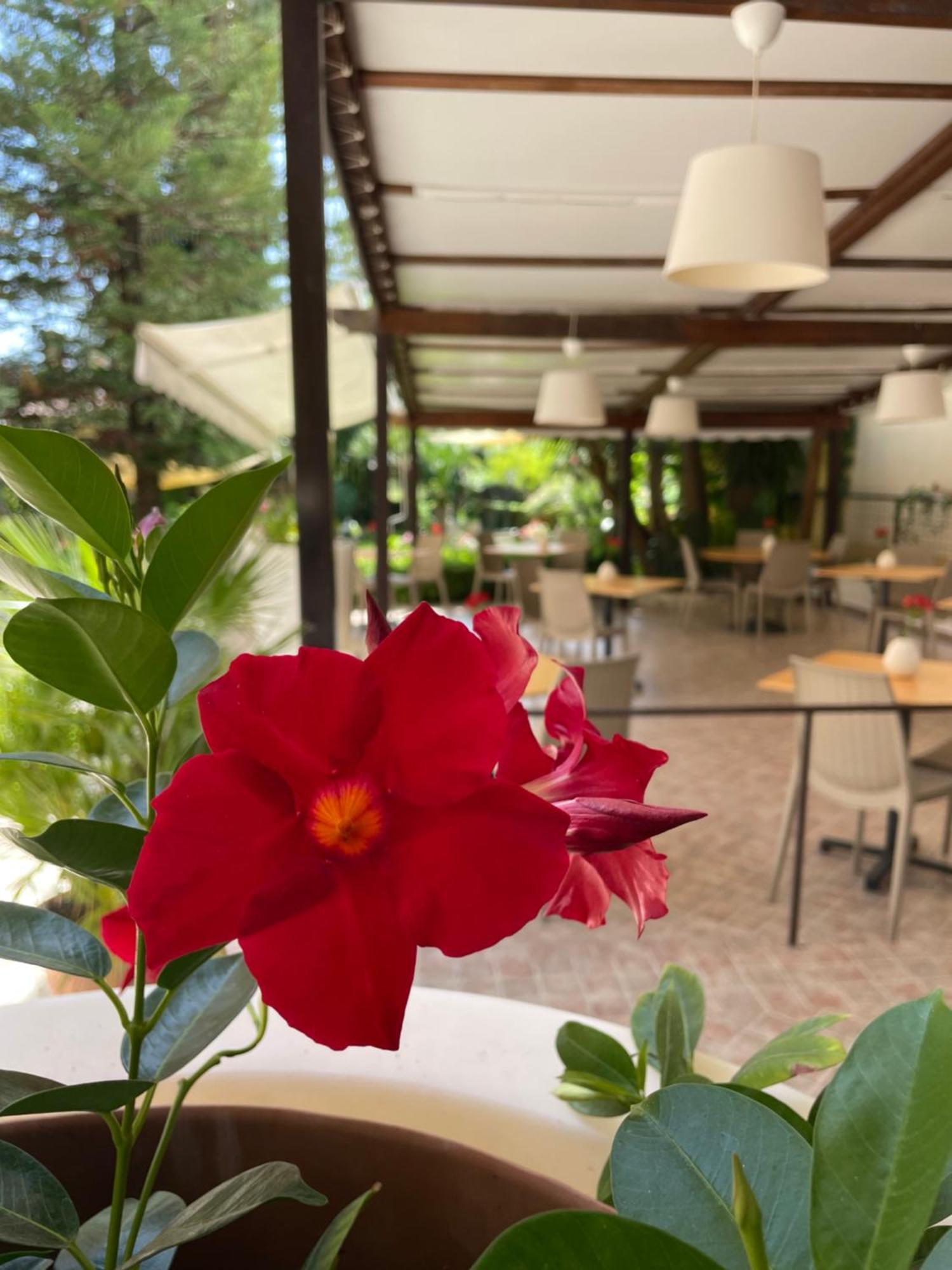 פאלינורו Hotel Residence Da Carmelo מראה חיצוני תמונה